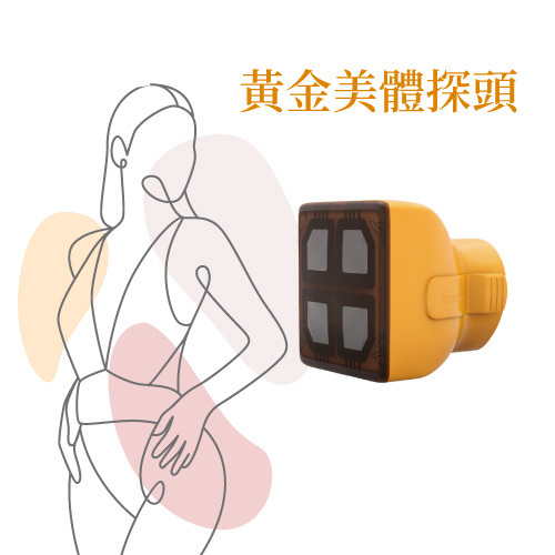 500 發黃金美體(大玉璽)探頭介紹