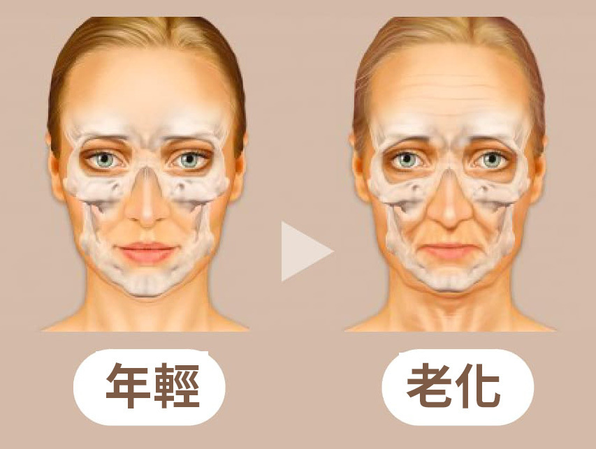 骨骼流失過程-年輕VS老化